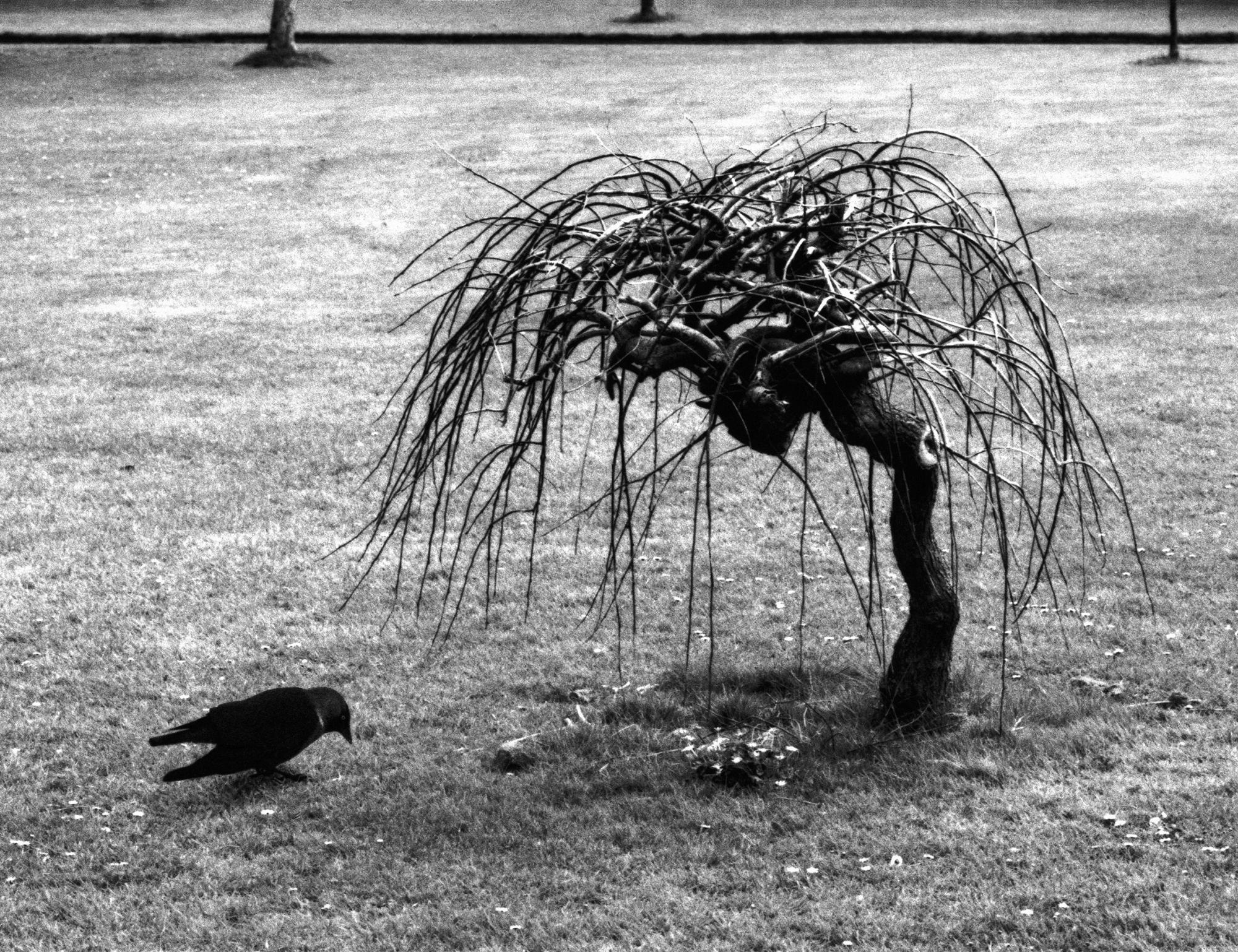 ME KAKSI PENTTI SAMMALLAHTI　ペンティ・サマラッティ ME KAKSI PENTTI SAMMALLAHTI ペンティ・サマラッティ Pentti